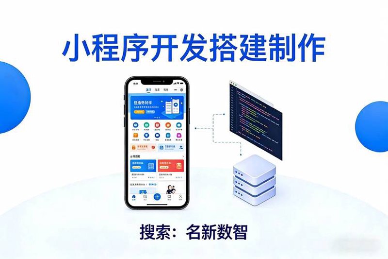 APP定制开发
